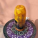 Camel skin lamp   IMG # 1