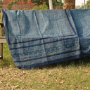 Ajrak - 2 Piece Suit IMG # 11482