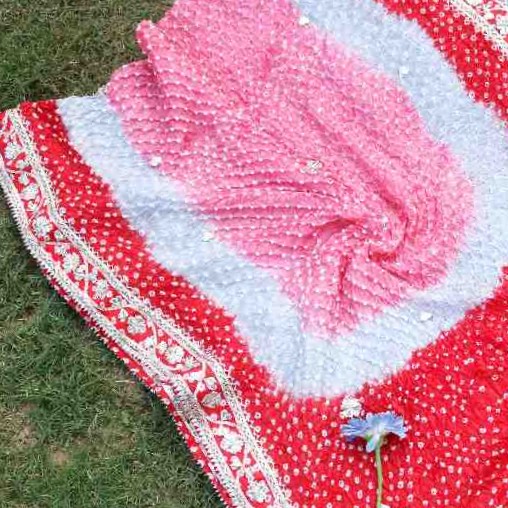 Gotta Work Embroided Dupatta - Duplicate IMG # 1