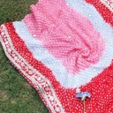 Gotta Work Embroided Dupatta - Duplicate IMG # 1