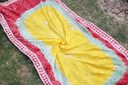 Gotta Work Embroided Dupatta - Duplicate - Duplicate IMG # 1