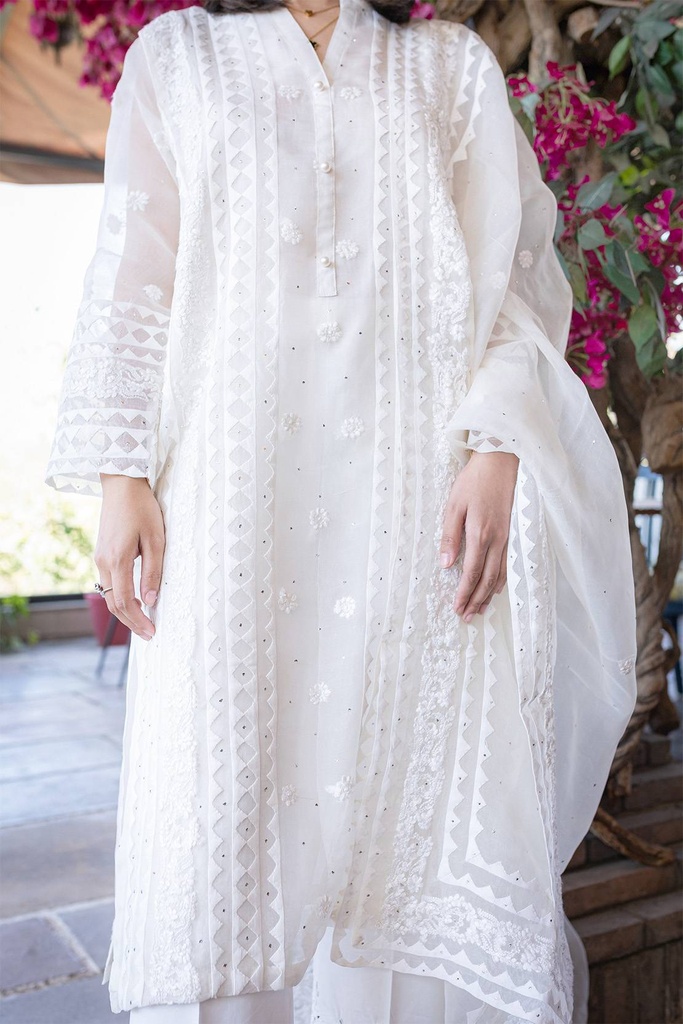 Extra image for APPLIQUE ORGANZA KURTA