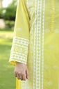 Extra image for APPLIQUE KURTA
