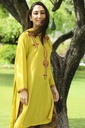 Extra image for EMBROIDERED GHRARA SUIT