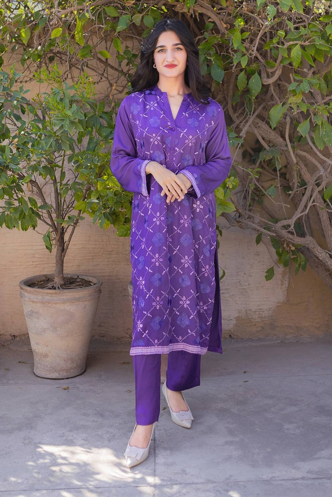 Extra image for phulkari Silk Suit