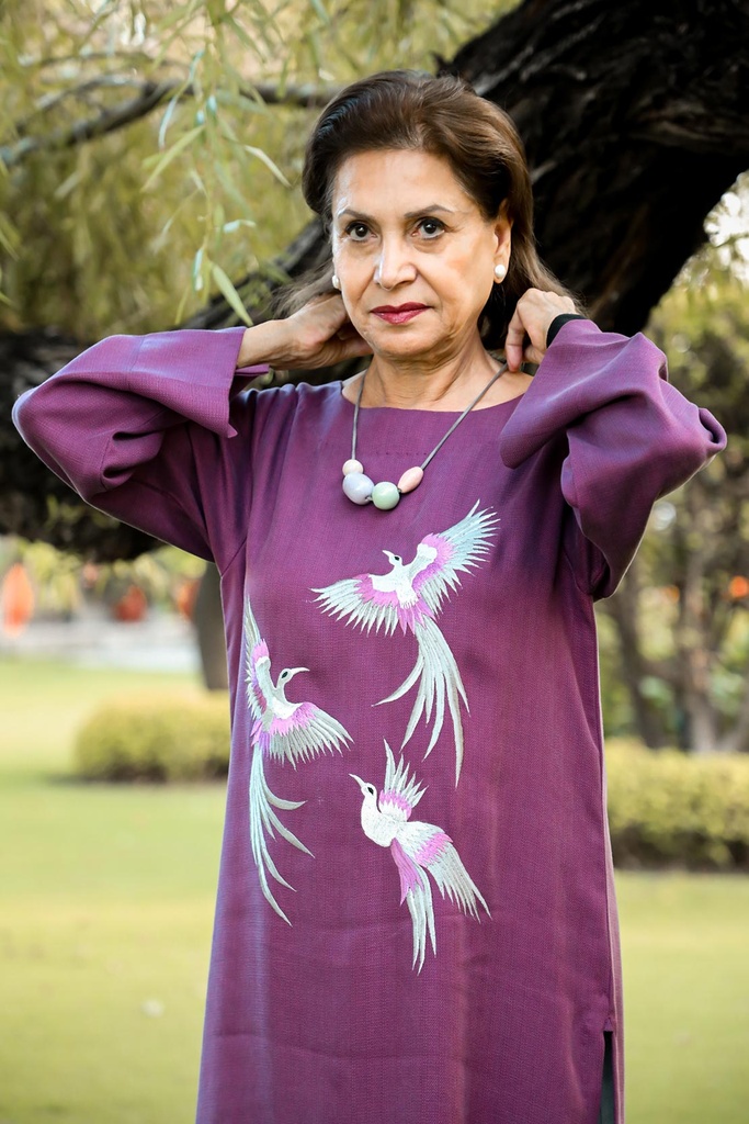 Extra image for Beaming 1- Embroidered Silk Khaddar