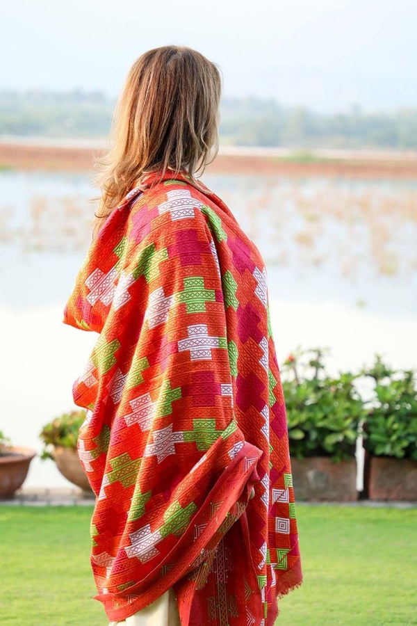 Extra image for Umber - Jisti phulkari shawl