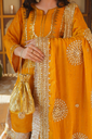 Extra image for Noor‑e‑Zar Dress