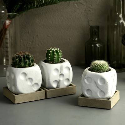 The Dice Planter - White IMG # 1