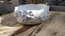 The Bonsai Flower Pot - White IMG # 1