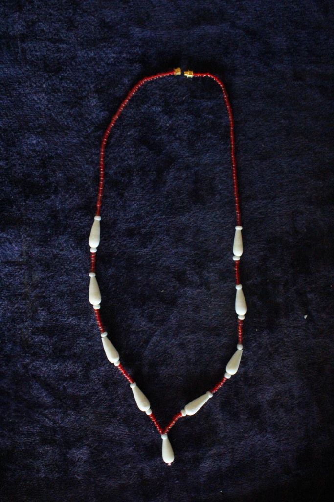 Camelbone Necklace IMG # 5556