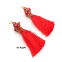 Tassel Earring