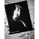 Cat Chairoscuro IMG # 1