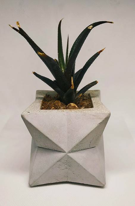 The Star Geometric Planter IMG # 1