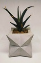 The Star Geometric Planter IMG # 1