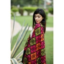 Embroidered Phulkari Shaw 