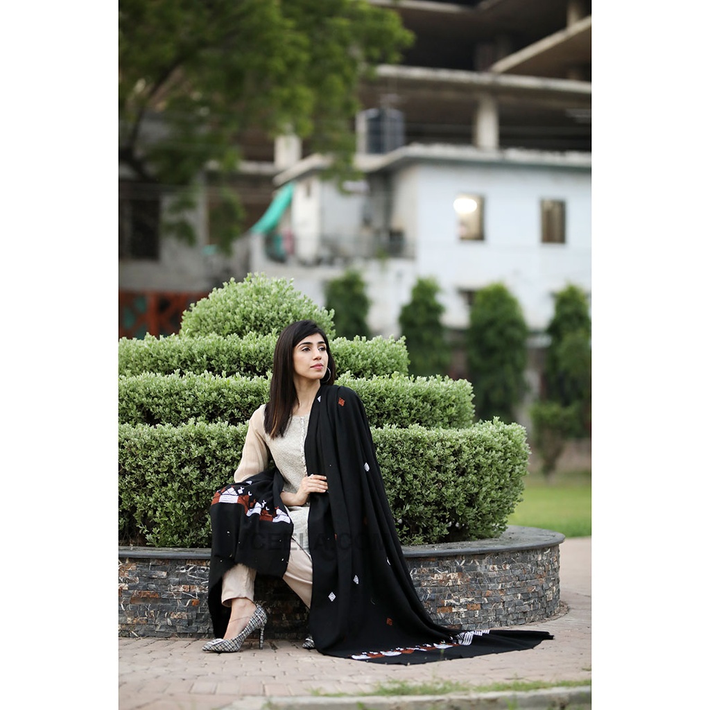 Embroidered Phulkari Shawl