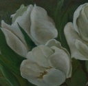 Tulip canvas wall Art IMG # 1