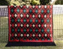 Embroidered Phulkari Shawl     - Duplicate IMG # 1