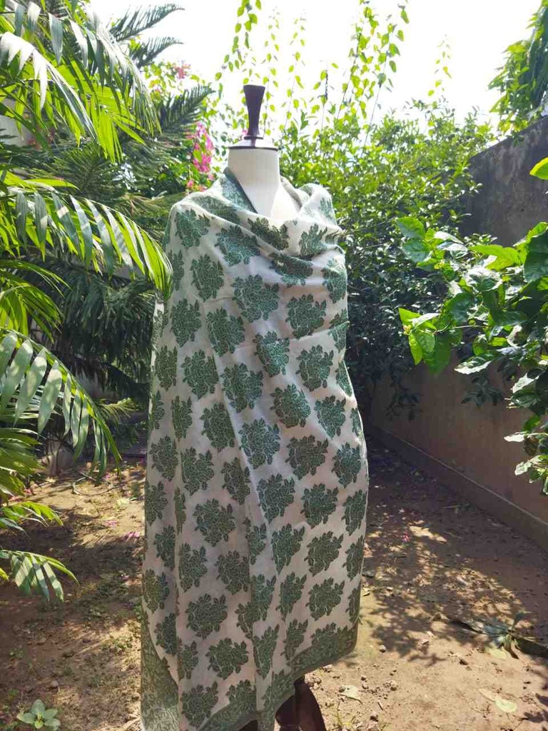 Woollen Jaaldar Pashmina shawl - Duplicate IMG # 1