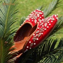 Hand Crafted Ladies Khussa - Duplicate IMG # 1