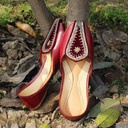 Hand Crafted Luxury Dabka Work Khussa  - Duplicate IMG # 1