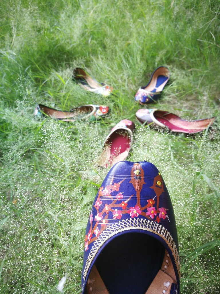 Hand Painted Leather Khussa