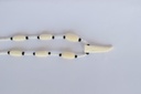 Camel Bone Necklace IMG # 9896