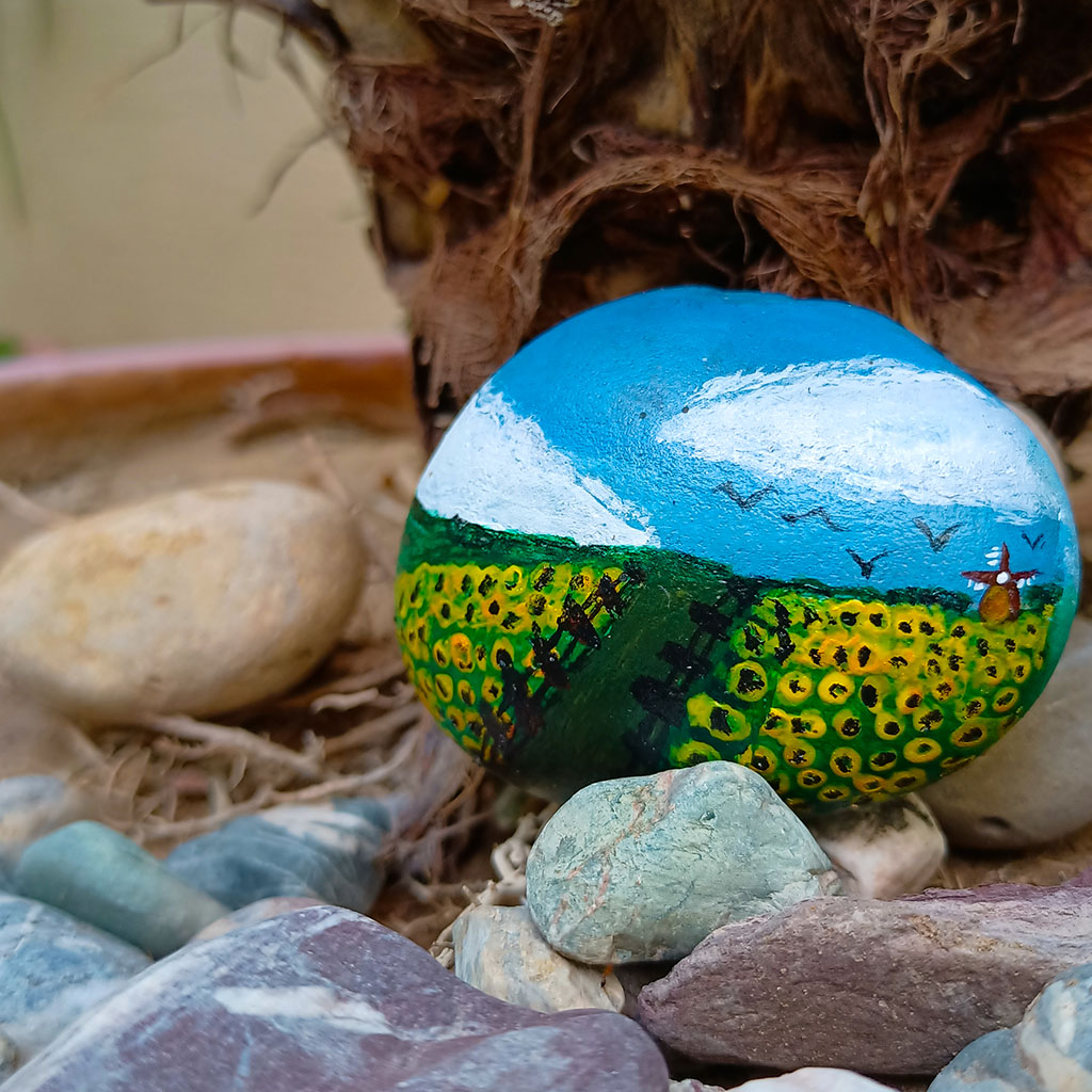 Sunflower field on the Pebble