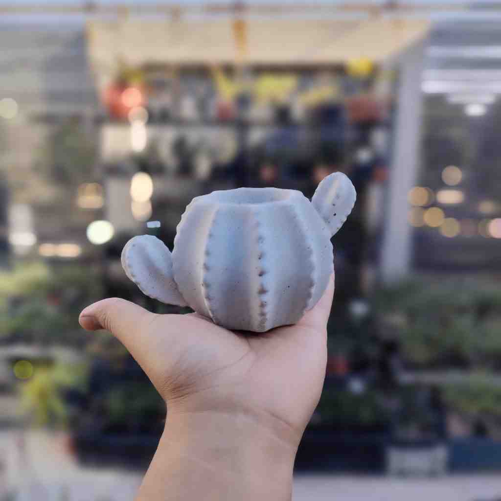 Cactus Shaped Planter