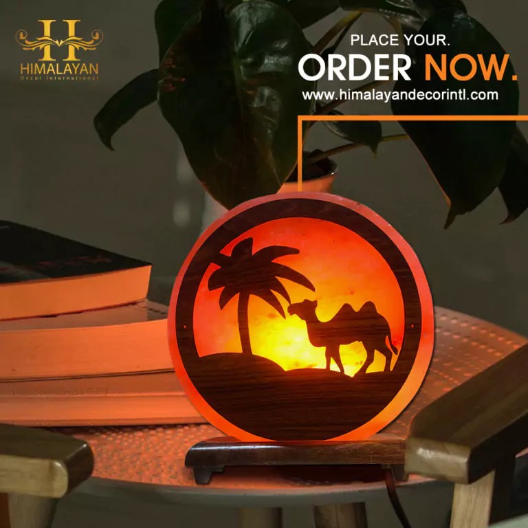 Himalayan Salt Lamp with 3D Print (Camel Style)