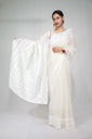 Organza Applique Saree