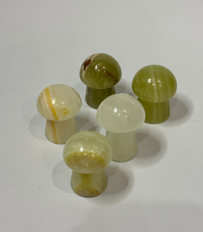 Face Massaging Mushroom