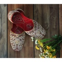 Fully Embroidered Khussa For Men