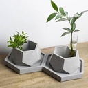 The Dodecahedron Planter - Grey