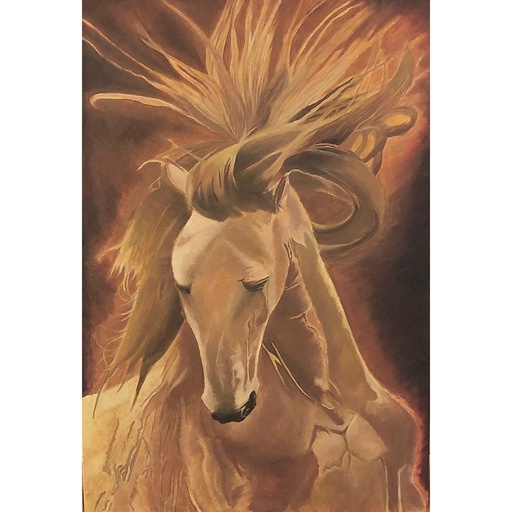 [PK4450-AR-ACR-013486] TAMED