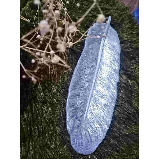 [PK4528-GN-GEN-013875] Silver feather trinket dish
