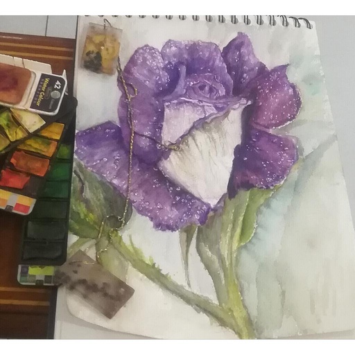 [PK4411-AR-WAT-014011] Starry, Dewy Rose