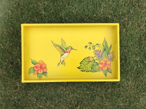 [PK0549-HM-TRY-016435] Humming Bird hand painted tray