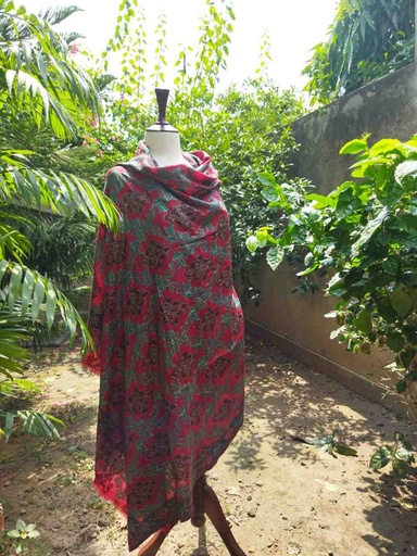 [PK0014-CW-SCF-017320] Woollen Pashmina Shawl with Kani Outline
