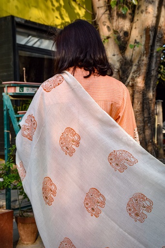 [1-ST-24] BLOCKPRINT STOLE