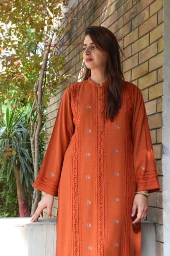 [2-10-24] Chestnut Colour kurta